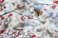 Nom du fichier=50826195426_3a0f86b682_o.jpg
Taille du fichier=464Ko
Dimensions : 1280x851
Ajouté le : 15 Janvier 2021 50826195426_3a0f86b682_o.jpg