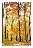 Nom du fichier=FI-006.jpg
Taille du fichier=219Ko
Dimensions : 625x900
Ajouté le : 23 Novembre 2019 FI-006.jpg