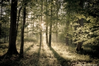 Nom du fichier=PA-29.jpg
Taille du fichier=457Ko
Dimensions : 1280x854
Ajouté le : 03 Octobre 2018 PA-29.jpg