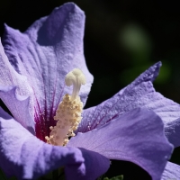 Nom du fichier=ck1mc110.jpg
Taille du fichier=256Ko
Dimensions : 960x960
Ajouté le : 12 Avril 2024 ck1mc110.jpg