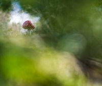 Nom du fichier=lZzW.jpg
Taille du fichier=395Ko
Dimensions : 1064x900
Ajouté le : 21 Octobre 2019 lZzW.jpg