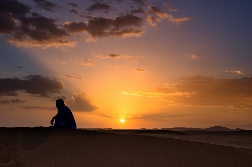 2013-11-24 / olilignan
olilignan "Maroc, le Sud de Ouarzazate au Desert"
