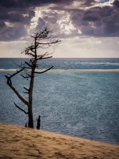 2014-08-24 / Phil22140
Phil22140 [ Paysages ]
