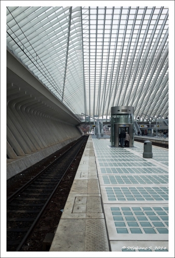 2014-12-30 / MouLaG Ofr
MouLaG Ofr  "Calatrava - Gare de Liege-Guillemins"
