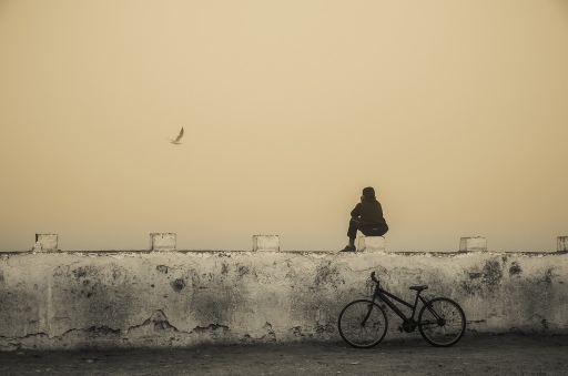 2013-08-22/Ollignan
Ollignan  "Maroc, Essaouira, El Jadida, l'ocean"
