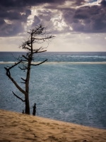 Nom du fichier=14819948240_c5c7f76d52_o.jpg
Taille du fichier=220Ko
Dimensions : 768x1024
Ajouté le : 23 Août 2014 14819948240_c5c7f76d52_o.jpg