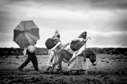 2020-06-20 / david81
david81 dans [Portraits]
