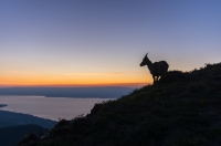 Nom du fichier=49918951941_13cceab141_o.jpg
Taille du fichier=459Ko
Dimensions : 1280x851
Ajouté le : 22 Mai 2020 49918951941_13cceab141_o.jpg