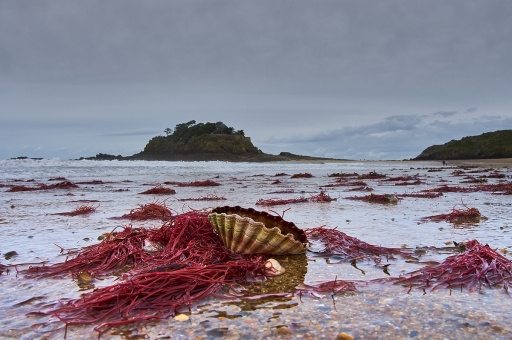 2020-11-26 / Vinhug
Vinhug [Paysages etÂ éléments naturels]
