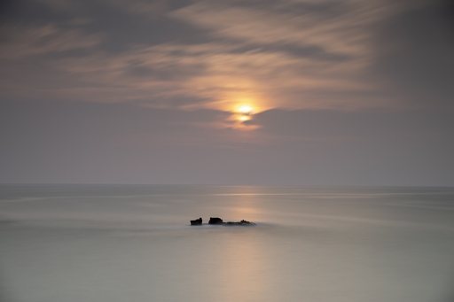 2021-10-21/ MIMO31
MIMO31 [Paysages et éléments naturels]
