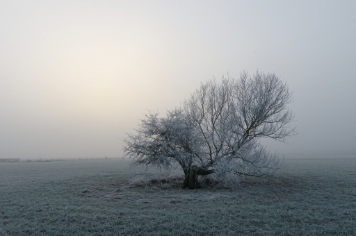 2022-01-28 / charlysouho
charlysouho [Paysages et éléments naturels]


