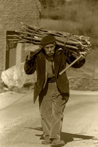 2022-07-08 / paphopyto
paphopyto [Portraits]
