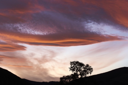 2023-02-24 / vinhug
vinhug [Paysages et éléments naturels]
