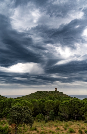 2022-06-24 / neosilencers
neosilencers [Paysages et éléments naturels]
