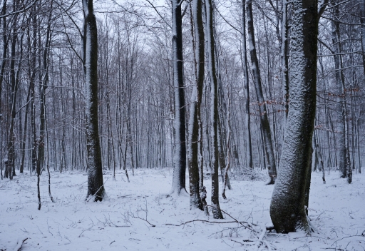 2022-02-17 / Hermès
Hermès [Paysages et éléments naturels]
