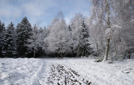 2024-02-02 / Hermèss
Hermès [Paysages et éléments naturels]
