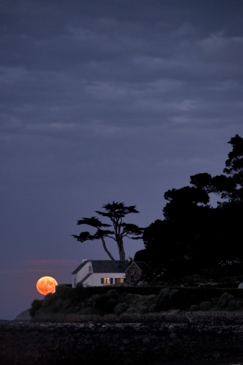 2022-07-15 / MamzelAmanda
MamzelAmanda [Paysages et éléments naturels]
