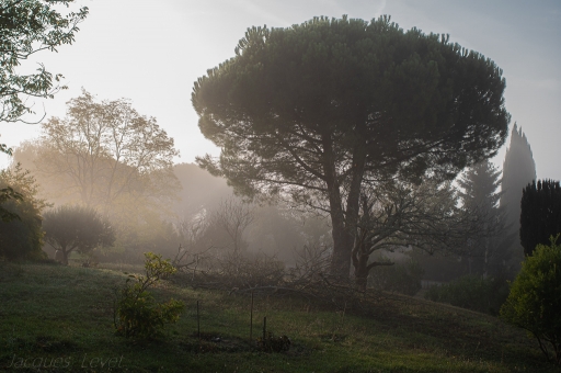 2020-10-23 / Pech_les oies
Pech_les oies [Paysages et éléments naturels]
