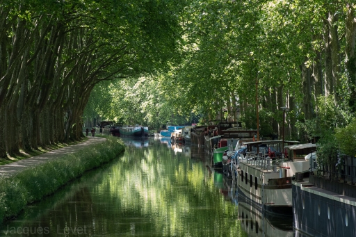 2021-05-27 /  	Pech_les oies
Pech_les oies [Paysages et éléments naturels]
