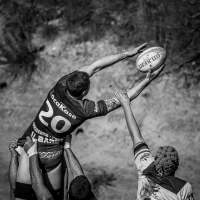 Nom du fichier=20030102262024923216668734.jpg
Taille du fichier=467Ko
Dimensions : 900x900
Ajouté le : 05 Mars 2020 20030102262024923216668734.jpg