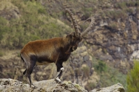 Nom du fichier=20042211053524179816756759.jpg
Taille du fichier=380Ko
Dimensions : 1280x853
Ajouté le : 22 Avril 2020 20042211053524179816756759.jpg