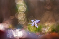 Nom du fichier=24031411305324958918371788.jpg
Taille du fichier=336Ko
Dimensions : 1200x800
Ajouté le : 14 Mars 2024 24031411305324958918371788.jpg