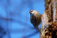 Nom du fichier=24032809210424454618379484.jpg
Taille du fichier=276Ko
Dimensions : 1280x853
Ajouté le : 28 Mars 2024 24032809210424454618379484.jpg