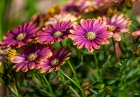 Nom du fichier=24051609562325249718407290.jpg
Taille du fichier=435Ko
Dimensions : 1280x885
Ajouté le : 16 Mai 2024 24051609562325249718407290.jpg