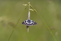 Nom du fichier=50058589087_8f8c239f0e_o.jpg
Taille du fichier=83Ko
Dimensions : 1200x801
Ajouté le : 29 Juin 2020 50058589087_8f8c239f0e_o.jpg