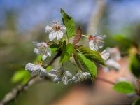 Nom du fichier=_igp5814.jpg
Taille du fichier=243Ko
Dimensions : 1024x768
Ajouté le : 04 Avril 2024 _igp5814.jpg