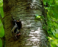 Nom du fichier=b7NG2.jpg
Taille du fichier=487Ko
Dimensions : 1280x1053
Ajouté le : 07 Mai 2020 b7NG2.jpg